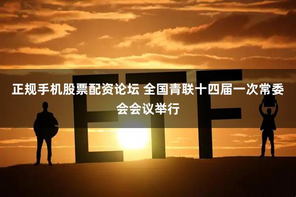 正规手机股票配资论坛 全国青联十四届一次常委会会议举行