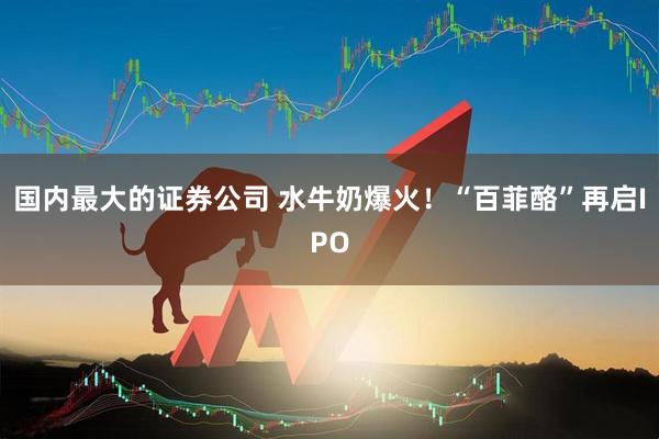 国内最大的证券公司 水牛奶爆火！“百菲酪”再启IPO